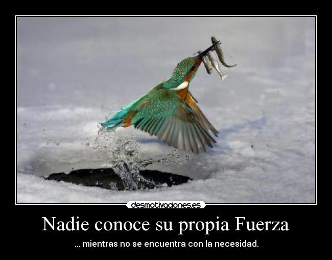 Nadie conoce su propia Fuerza - ... mientras no se encuentra con la necesidad.
