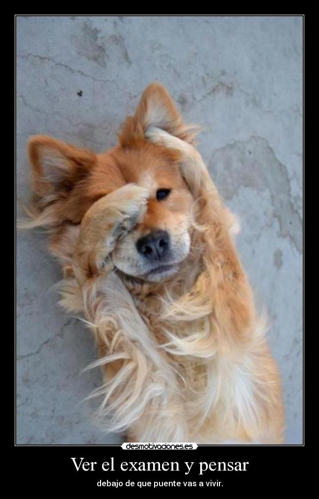 Ver el examen y pensar - debajo de que puente vas a vivir.