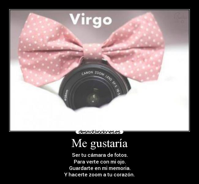 carteles janette kagamine para alexito que quiero muuuuuuuuuuuchooooooooooo elefantitoooo desmotivaciones