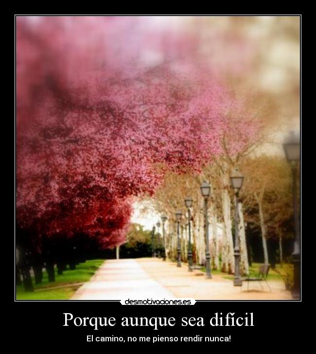 Porque aunque sea difícil - 