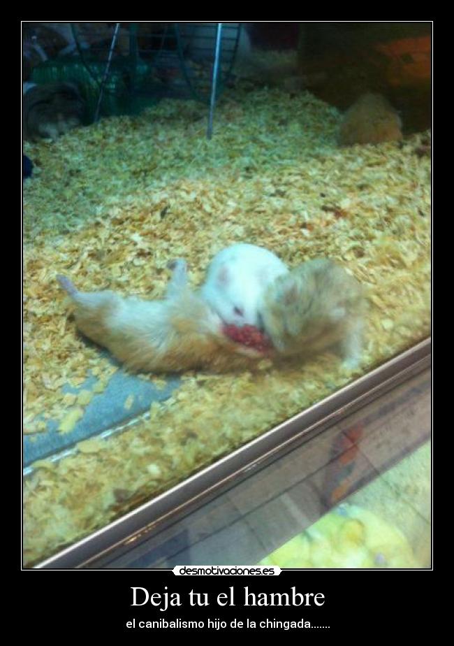 Deja tu el hambre - 