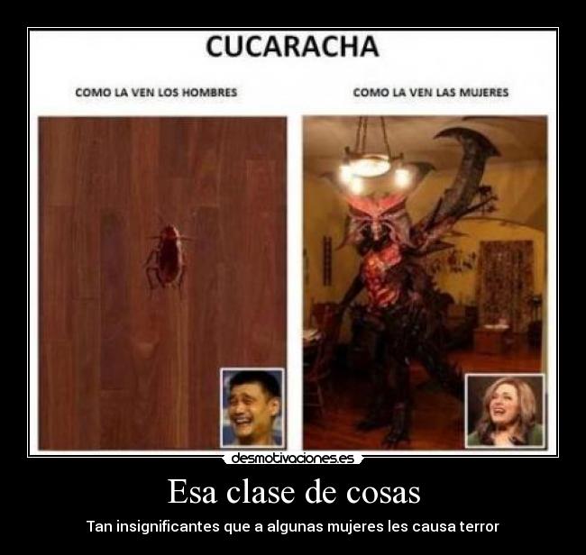 carteles cucarachas mujeres asco desmotivaciones
