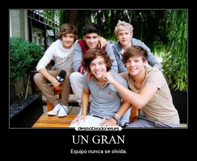 carteles sayuvra desmotivaciones