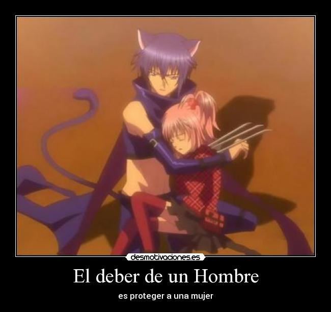 carteles shugo chara amu ikuto echos reales proteger las mujeres desmotivaciones