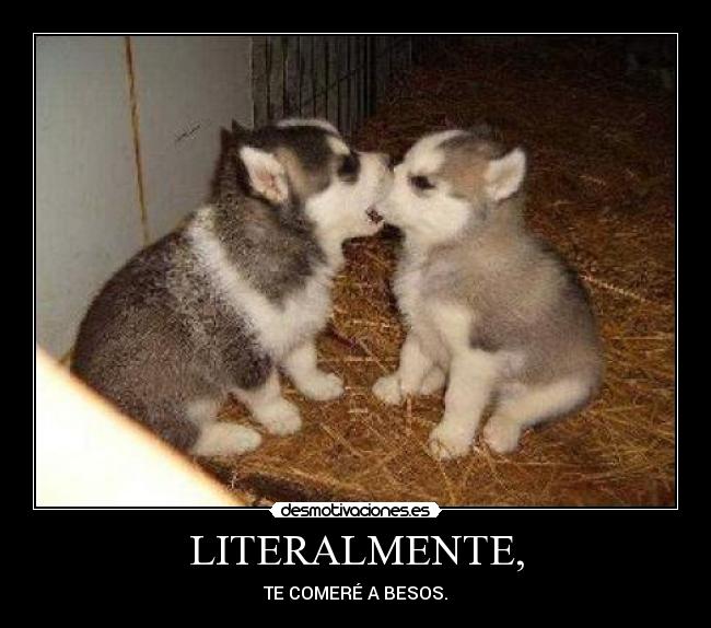 LITERALMENTE, - TE COMERÉ A BESOS.