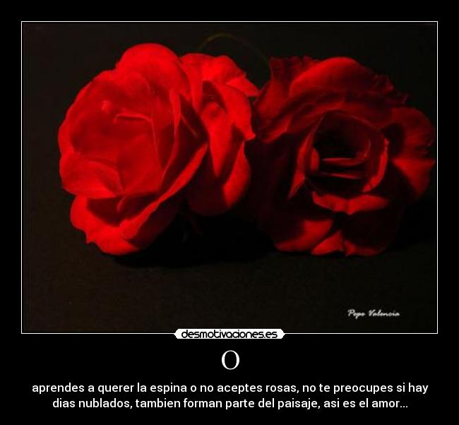 O - aprendes a querer la espina o no aceptes rosas, no te preocupes si hay
dias nublados, tambien forman parte del paisaje, asi es el amor...