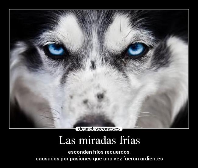 Las miradas frías - esconden fríos recuerdos,
causados por pasiones que una vez fueron ardientes