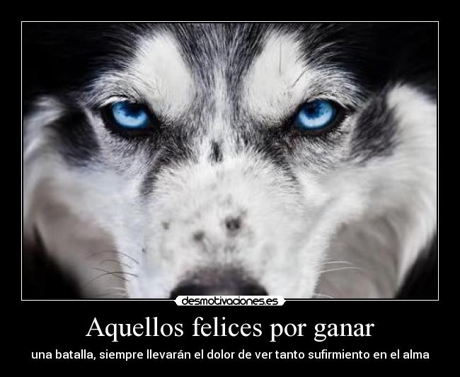 Aquellos felices por ganar - una batalla, siempre llevarán el dolor de ver tanto sufirmiento en el alma