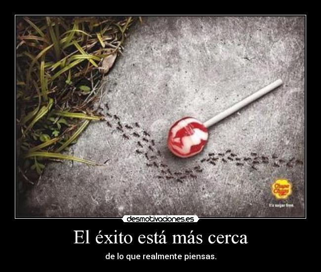 El éxito está más cerca - de lo que realmente piensas.