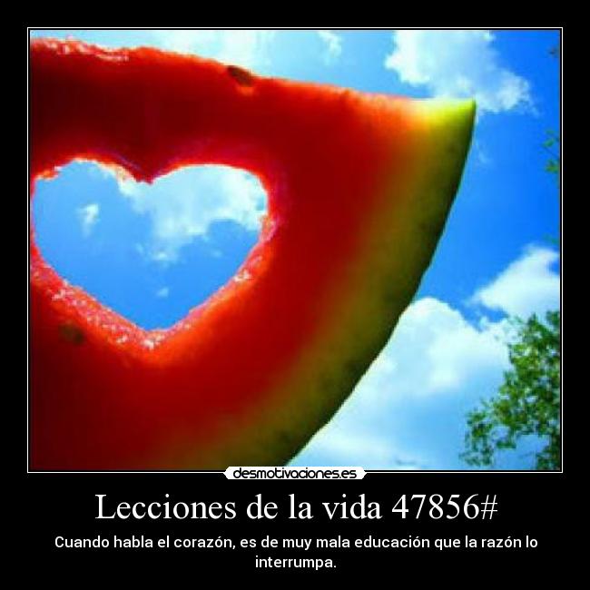 Lecciones de la vida 47856# - 