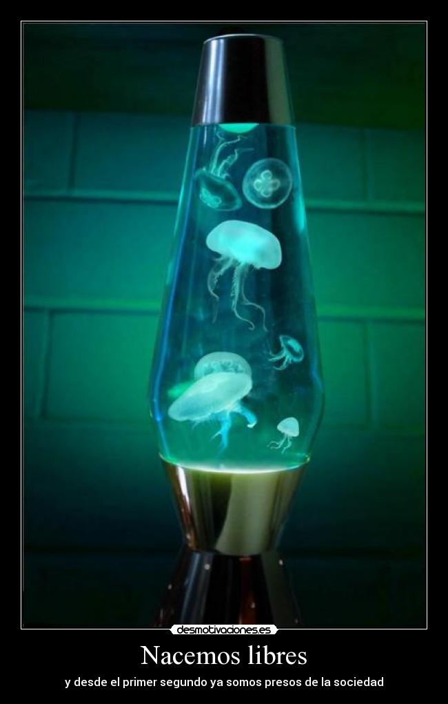 Nacemos libres -