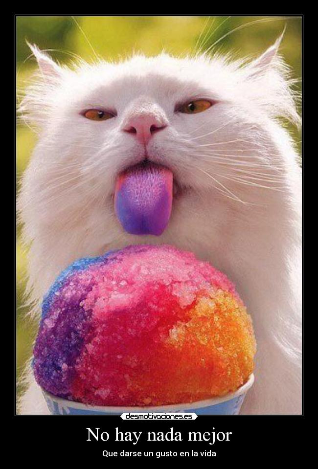 No hay nada mejor - Que darse un gusto en la vida