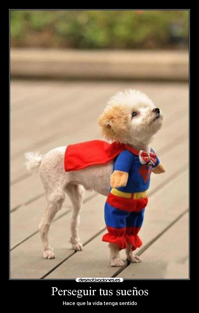Perseguir tus sueños -