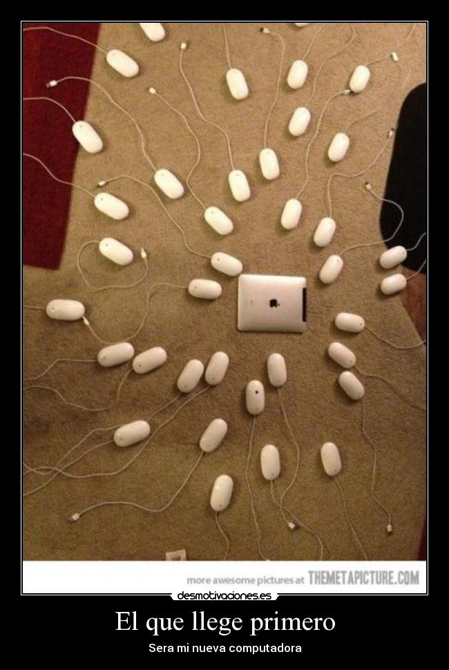 carteles dfcs desmotivaciones