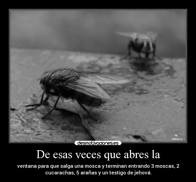 De esas veces que abres la - 