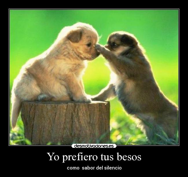 Yo prefiero tus besos - como sabor del silencio
