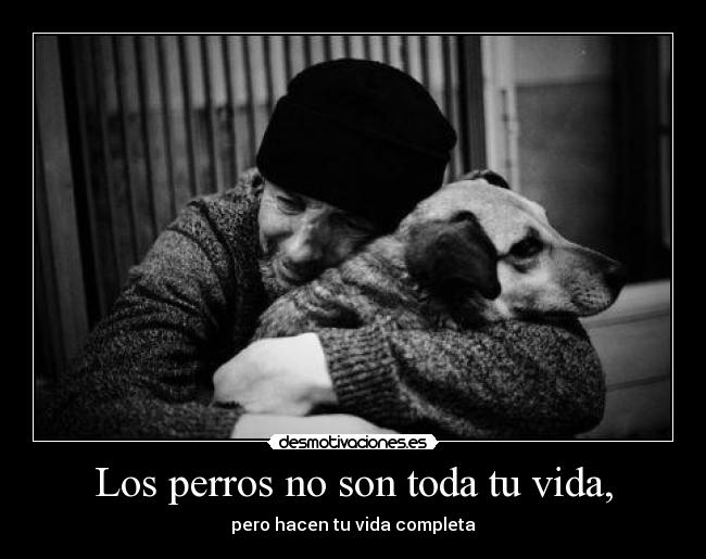 Los perros no son toda tu vida, - 