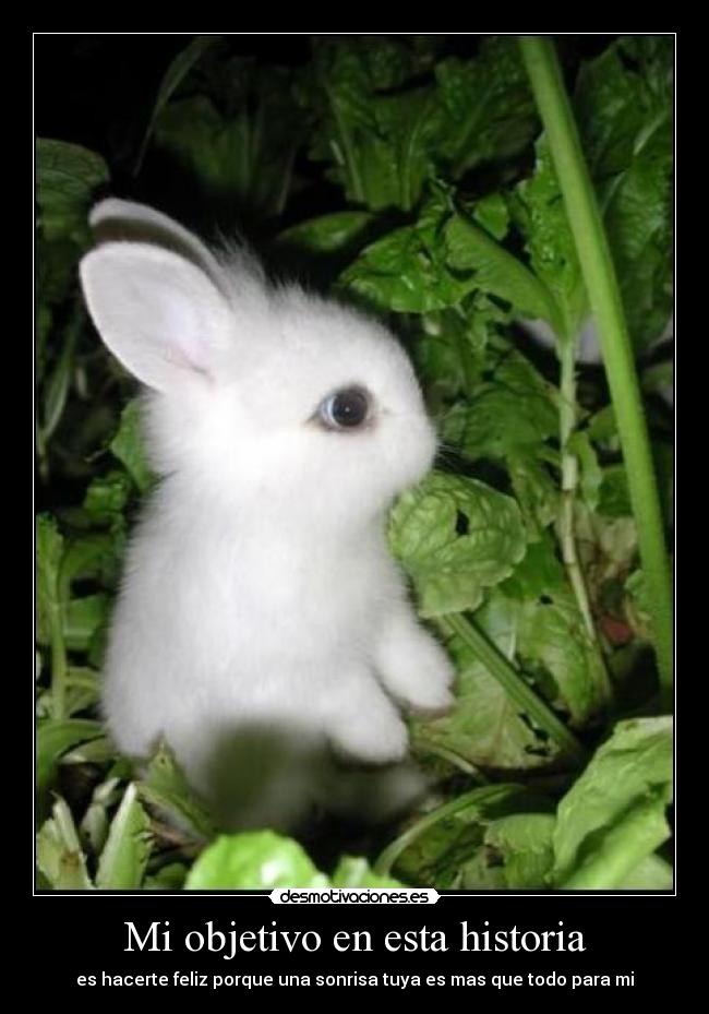 Mi objetivo en esta historia -