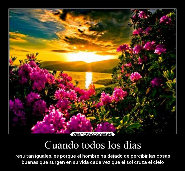 Cuando todos los días - 