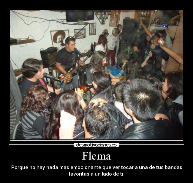 Flema - 