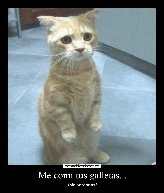 Me comi tus galletas... - ¿Me perdonas?
