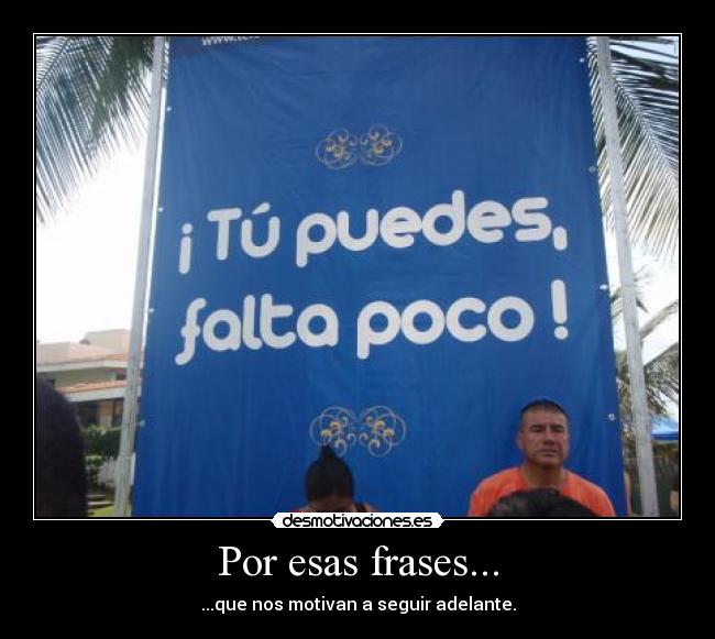 carteles frases motivacion desmotivaciones