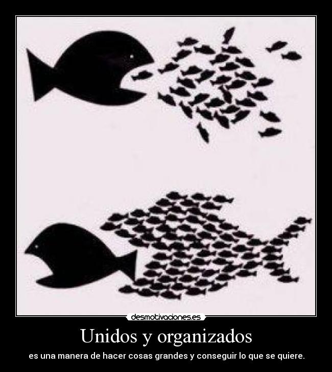 Unidos y organizados - es una manera de hacer cosas grandes y conseguir lo que se quiere.