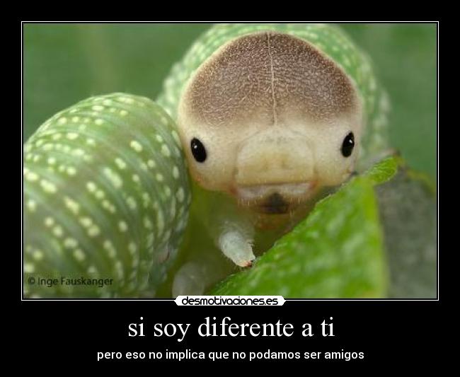 si soy diferente a ti - 