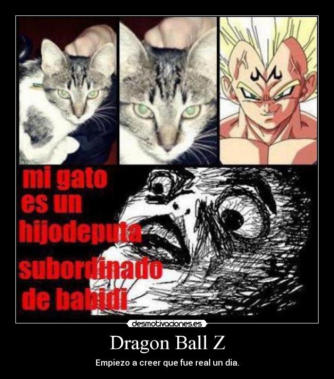 Dragon Ball Z - Empiezo a creer que fue real un dia.