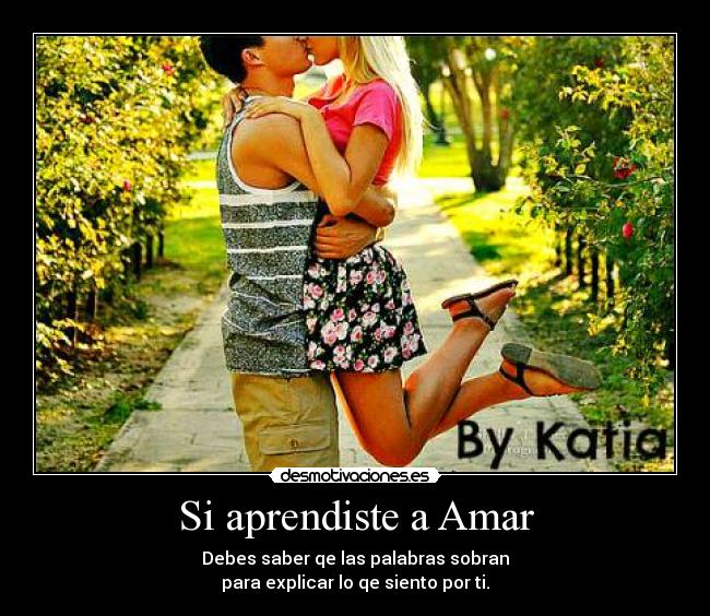 Si aprendiste a Amar -