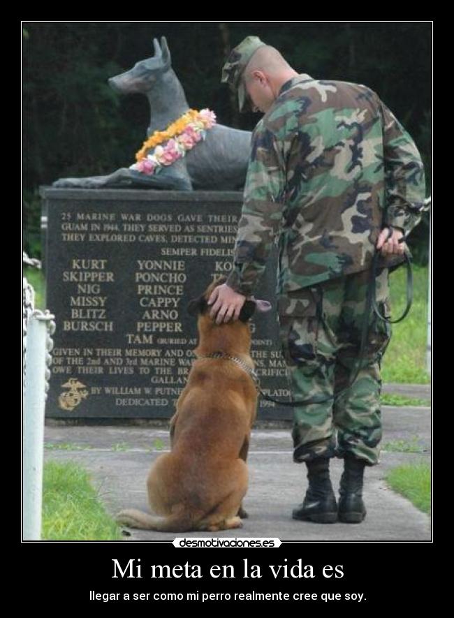 Mi meta en la vida es - llegar a ser como mi perro realmente cree que soy.
