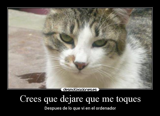 carteles neko neko desmotivaciones