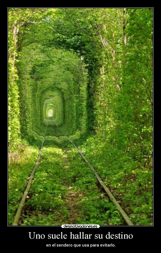 Uno suele hallar su destino - en el sendero que usa para evitarlo.