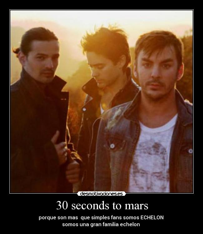 carteles paola leto montes desmotivaciones