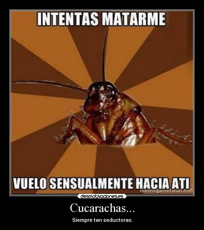 carteles cucarachas seductores volar matar desmotivaciones