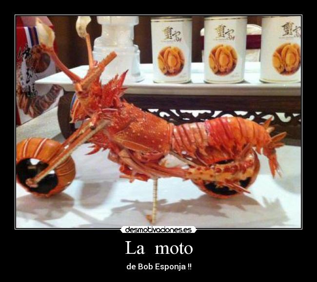 La moto - de Bob Esponja !!