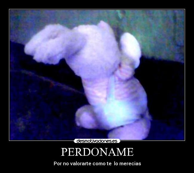 PERDONAME - Por no valorarte como te  lo merecias