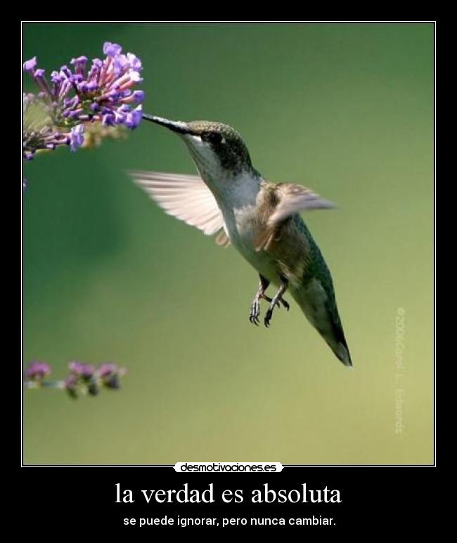 la verdad es absoluta - se puede ignorar, pero nunca cambiar.