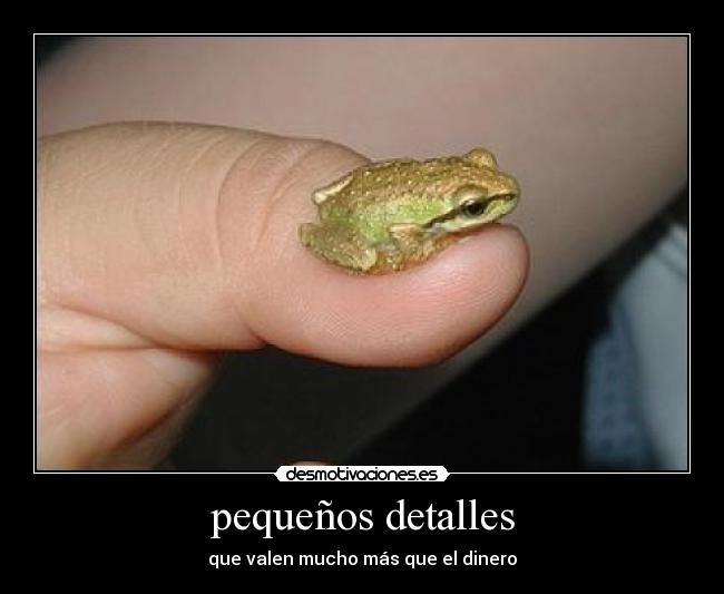 pequeños detalles - 