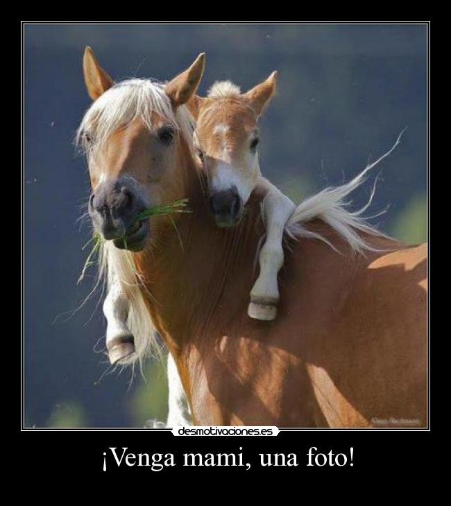¡Venga mami, una foto! - 