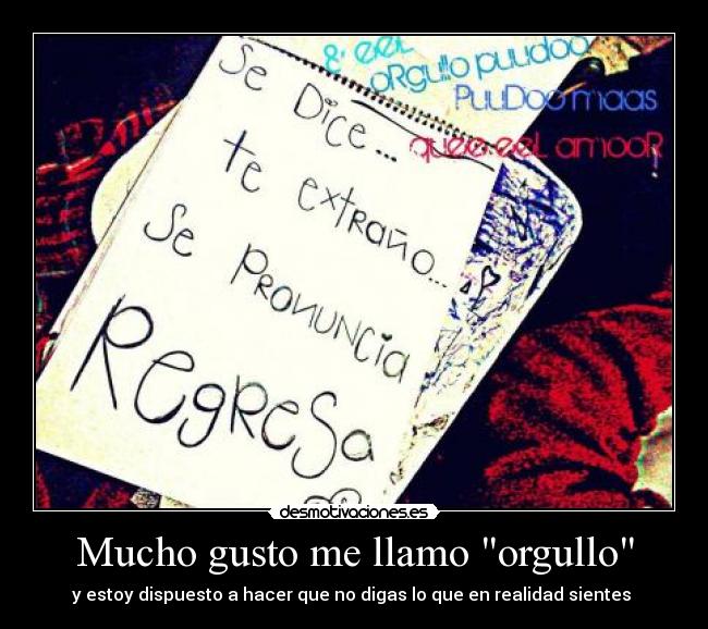 Mucho gusto me llamo orgullo - y estoy dispuesto a hacer que no digas lo que en realidad sientes ♥