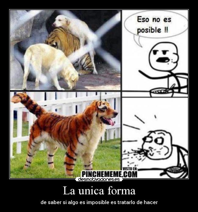 La unica forma - de saber si algo es imposible es tratarlo de hacer