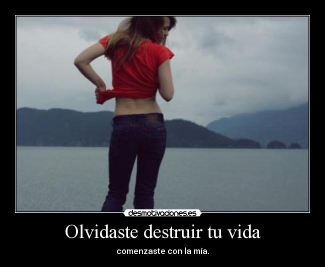 Olvidaste destruir tu vida - comenzaste con la mía.