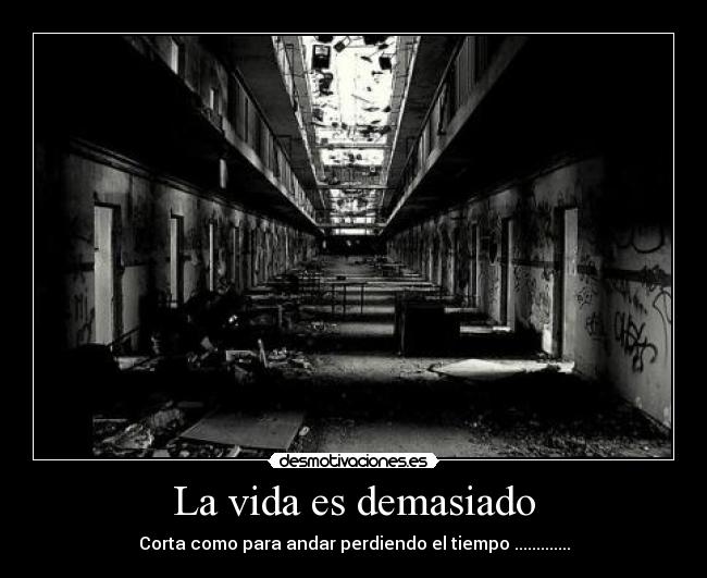 La vida es demasiado - 