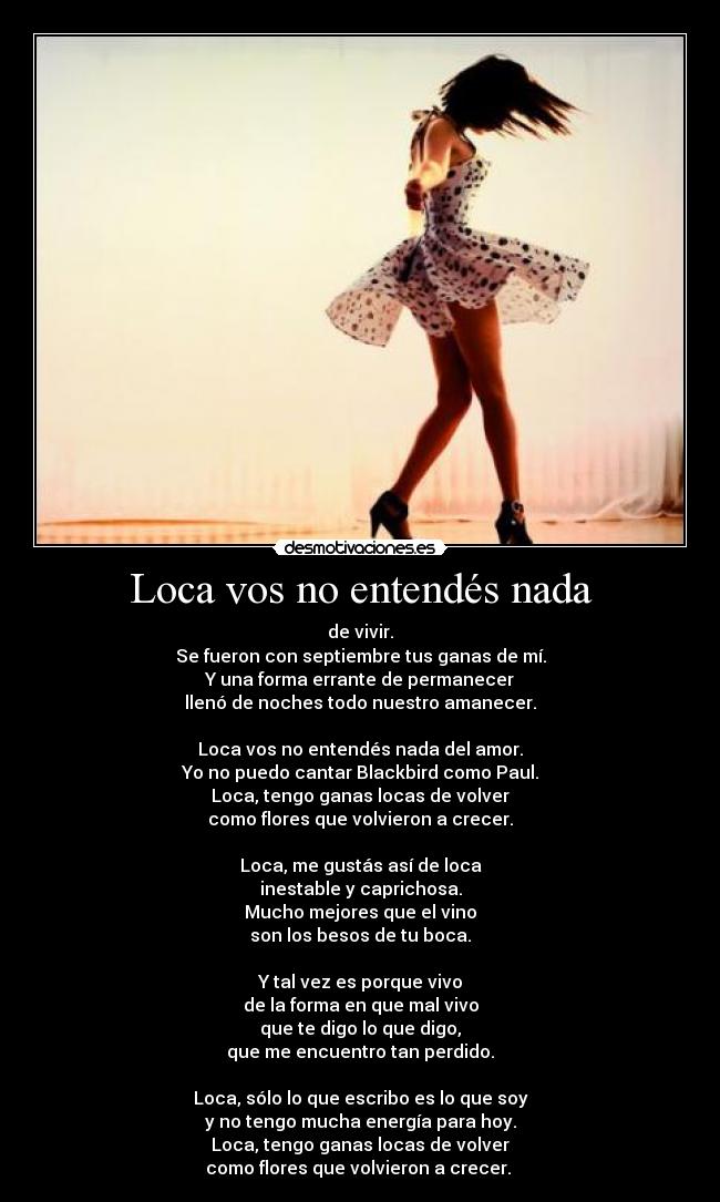 Loca vos no entendés nada -