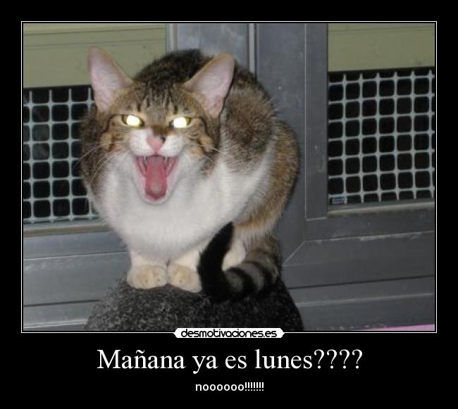Mañana ya es lunes???? | Desmotivaciones