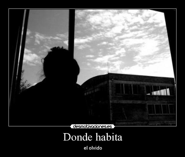 carteles olvido desmotivaciones