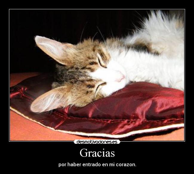 Gracias - por haber entrado en mi corazon.