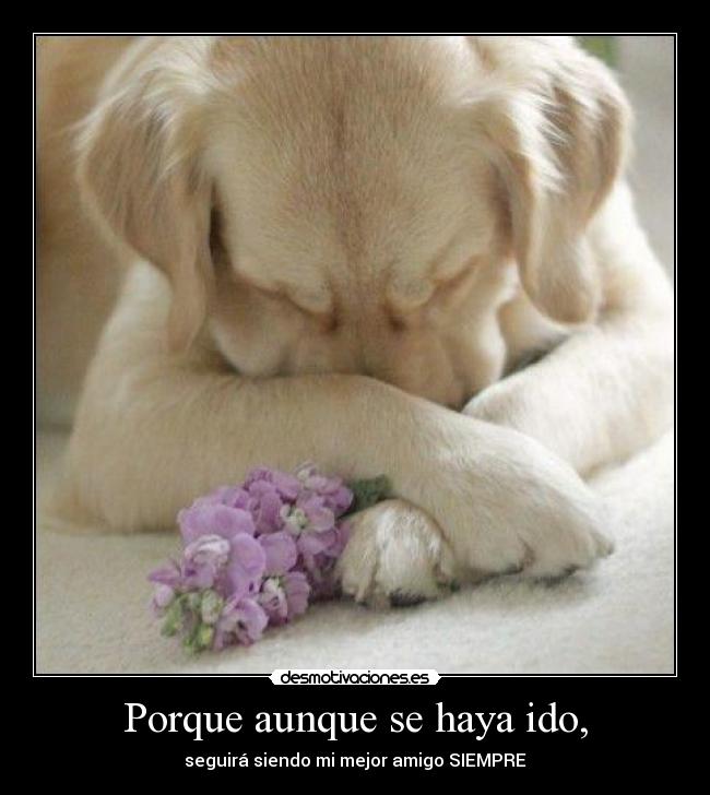 Porque aunque se haya ido, - seguirá siendo mi mejor amigo SIEMPRE