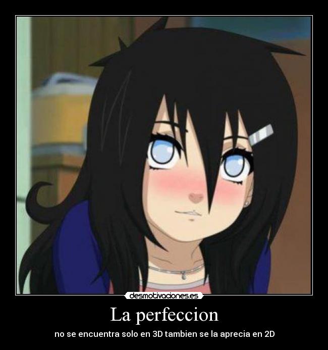 La perfeccion -